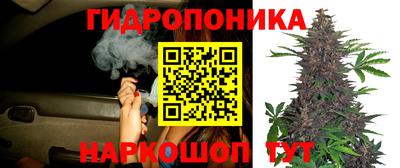 прущие крисы Волжск