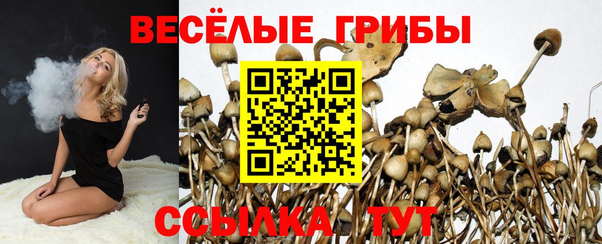 Псилоцибиновые грибы прущие грибы  Вход с VPN  Ессентуки 