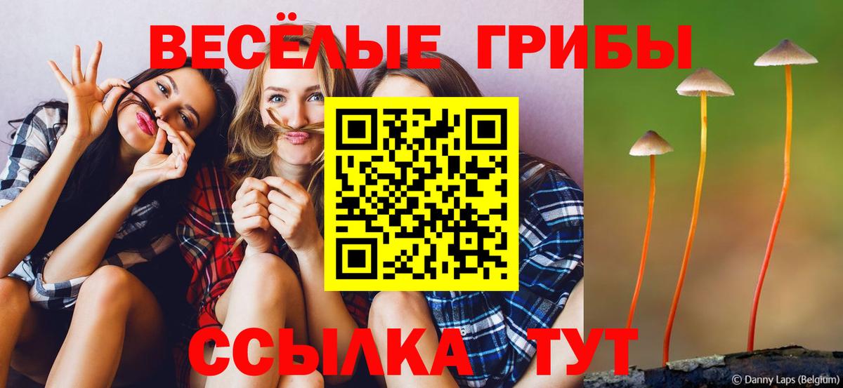 Меф МЯУ МЯУ кристаллы  Ессентуки  Вход с VPN  КОКАИН  ГАШИШ  Марихуана 